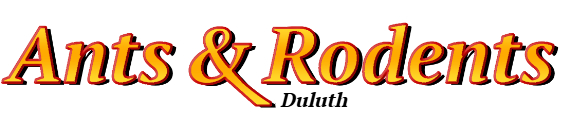 Duluth Ant Exterminator & Rodent Control Company Logo